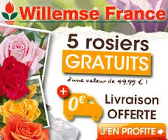 120x60 - Evenement promo