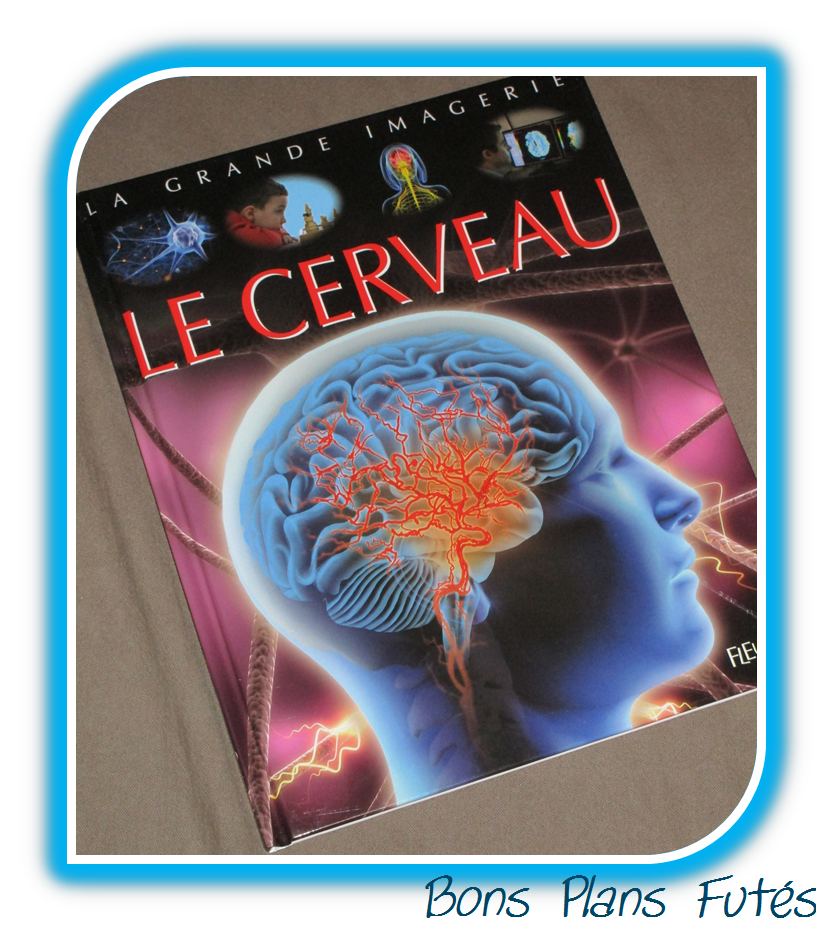 Le cerveau Fleurus