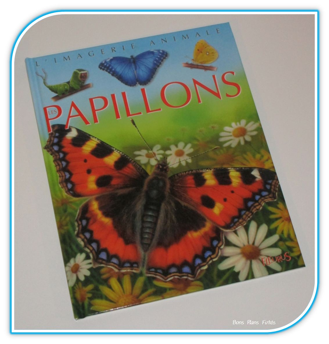 Les papillons avec Fleurus