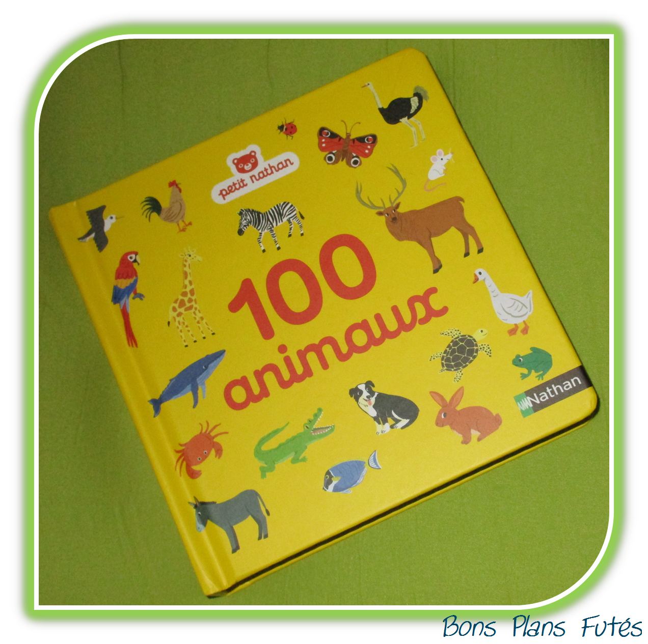 Imagier 100 animaux Nathan