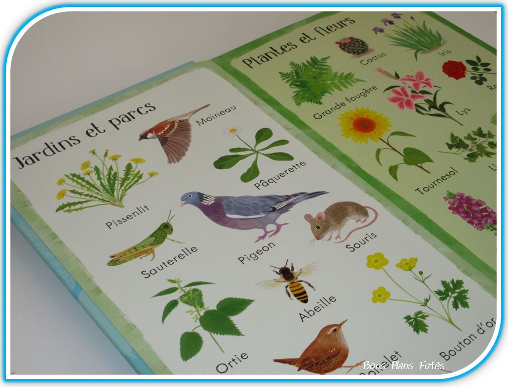 vocabulaire plantes 199 images de la nature avec Usborne