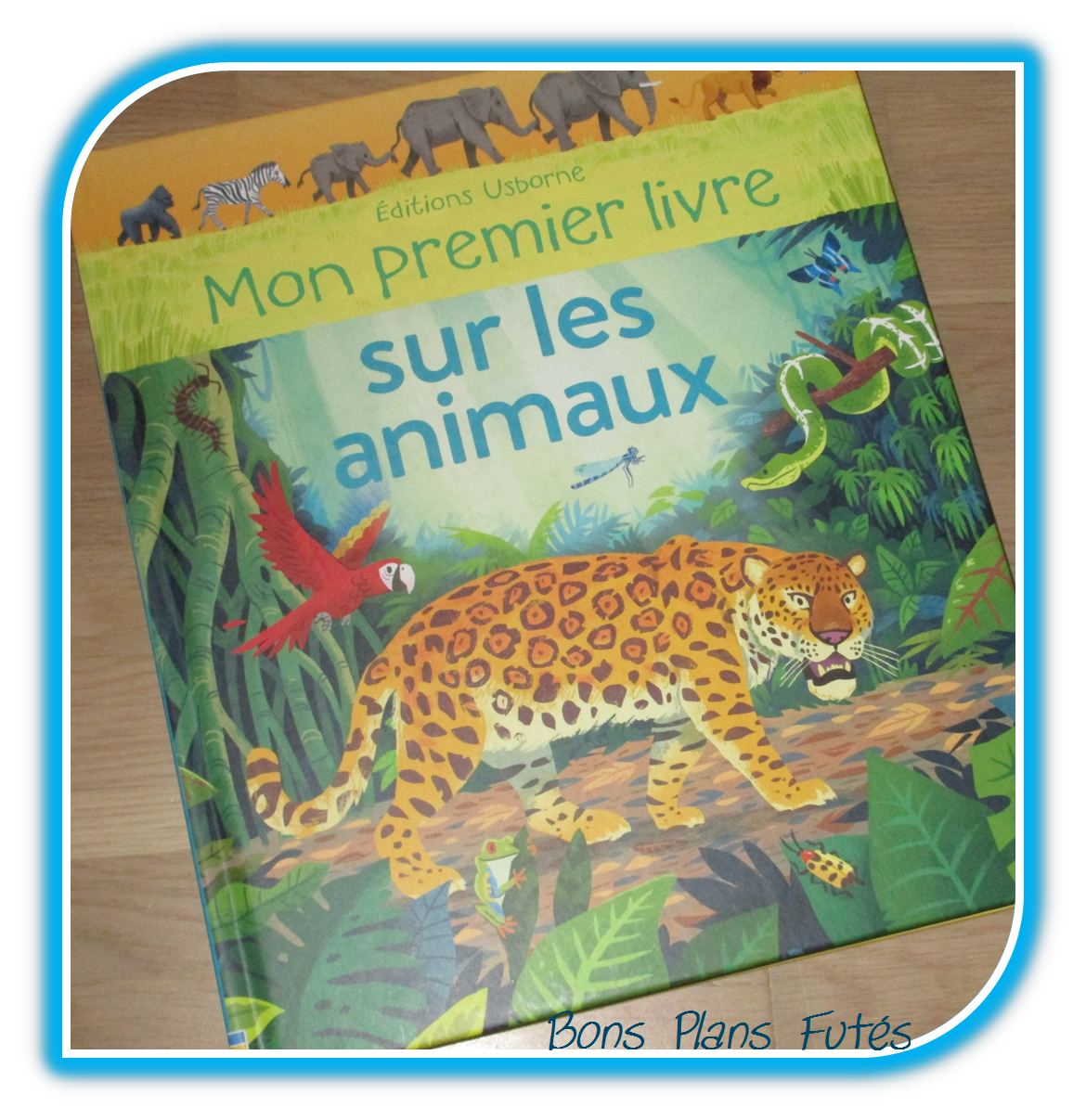 Mon premier livre sur les animaux avec Usborne