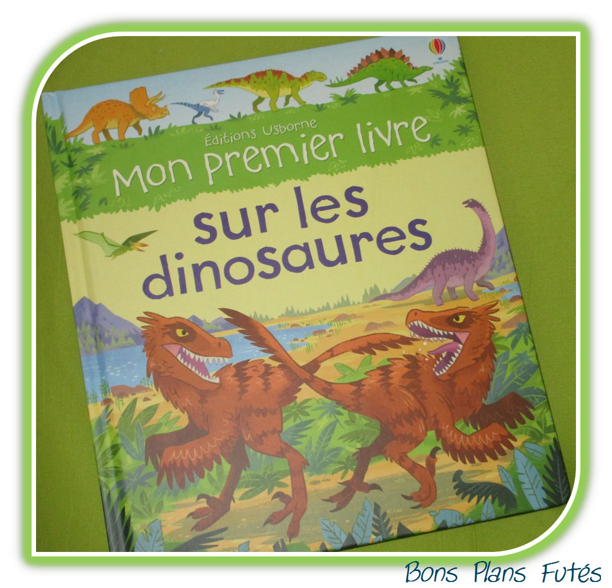 Mon premier livre sur les dinosaures 3 ans Usborne