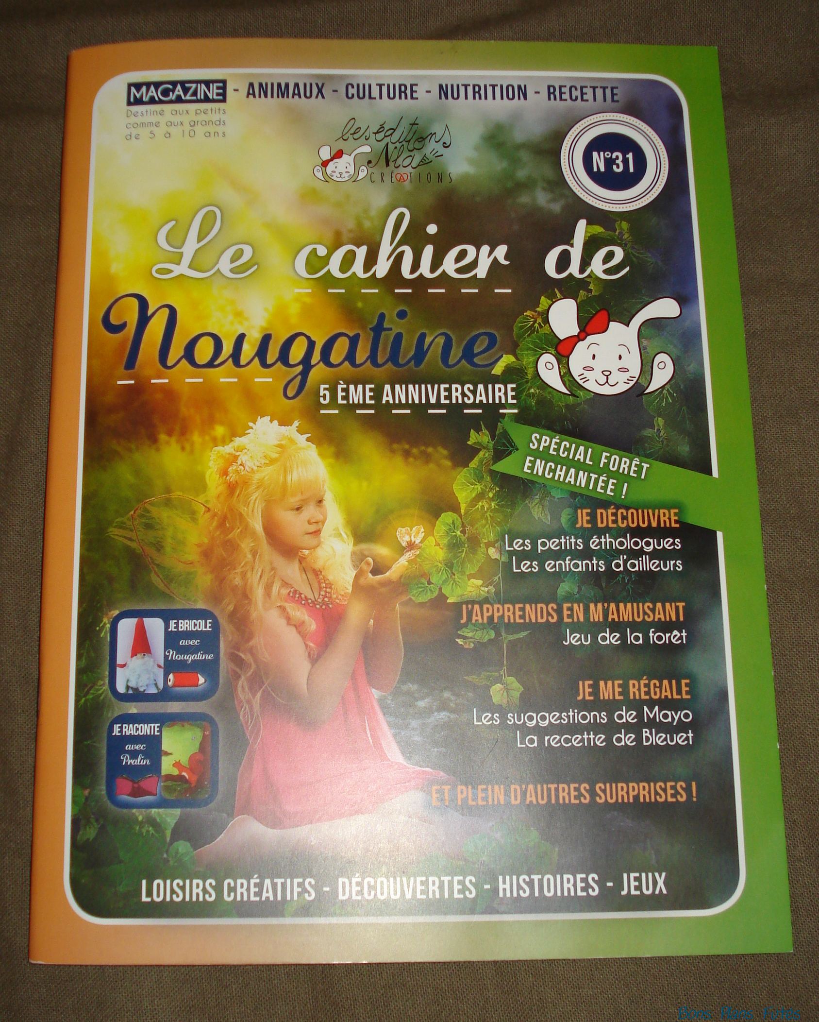 Le cahier de Nougatine