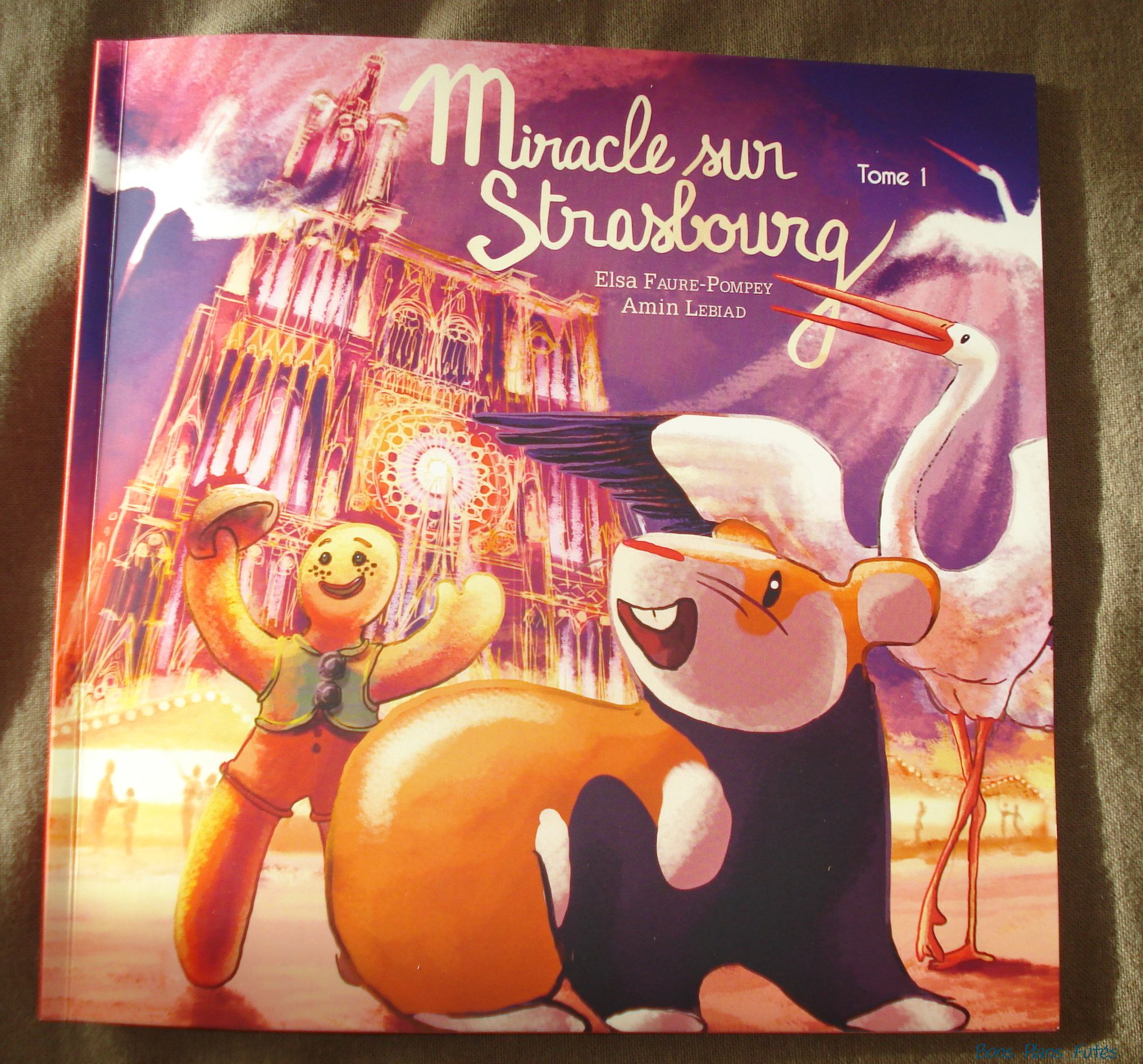 Livre Miracle sur Strasbourg