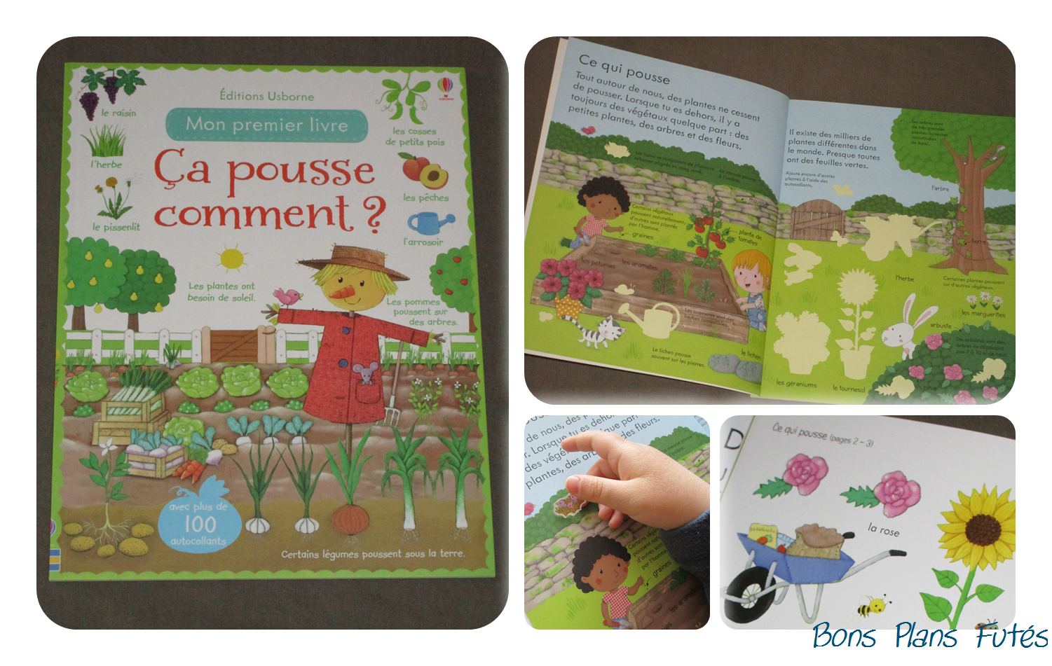 Ca pousse comment ? Usborne