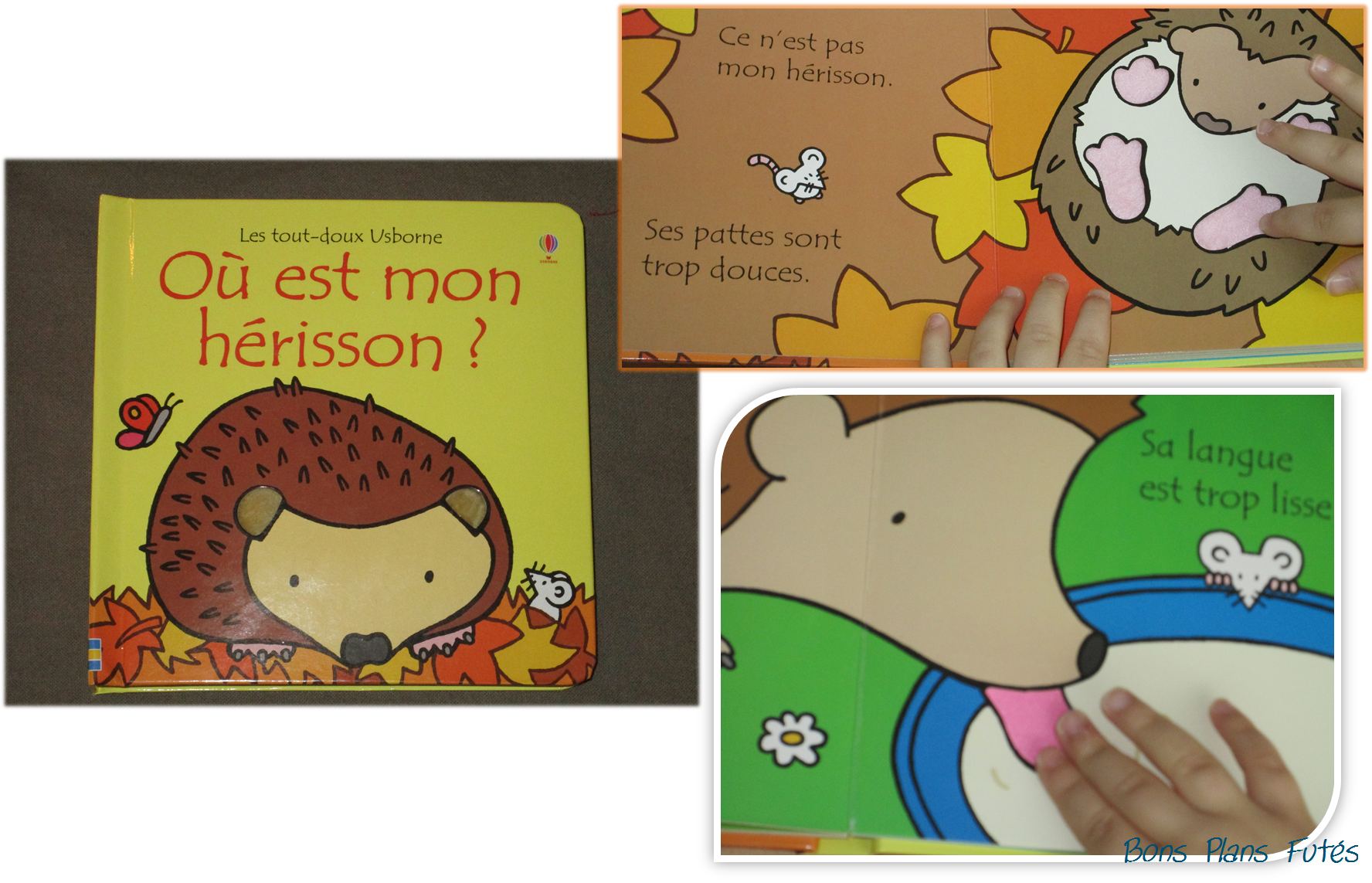 O est mon hrisson Usborne